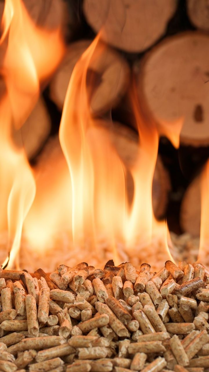 Des flammes sur des granulés avec des bûches en fond.