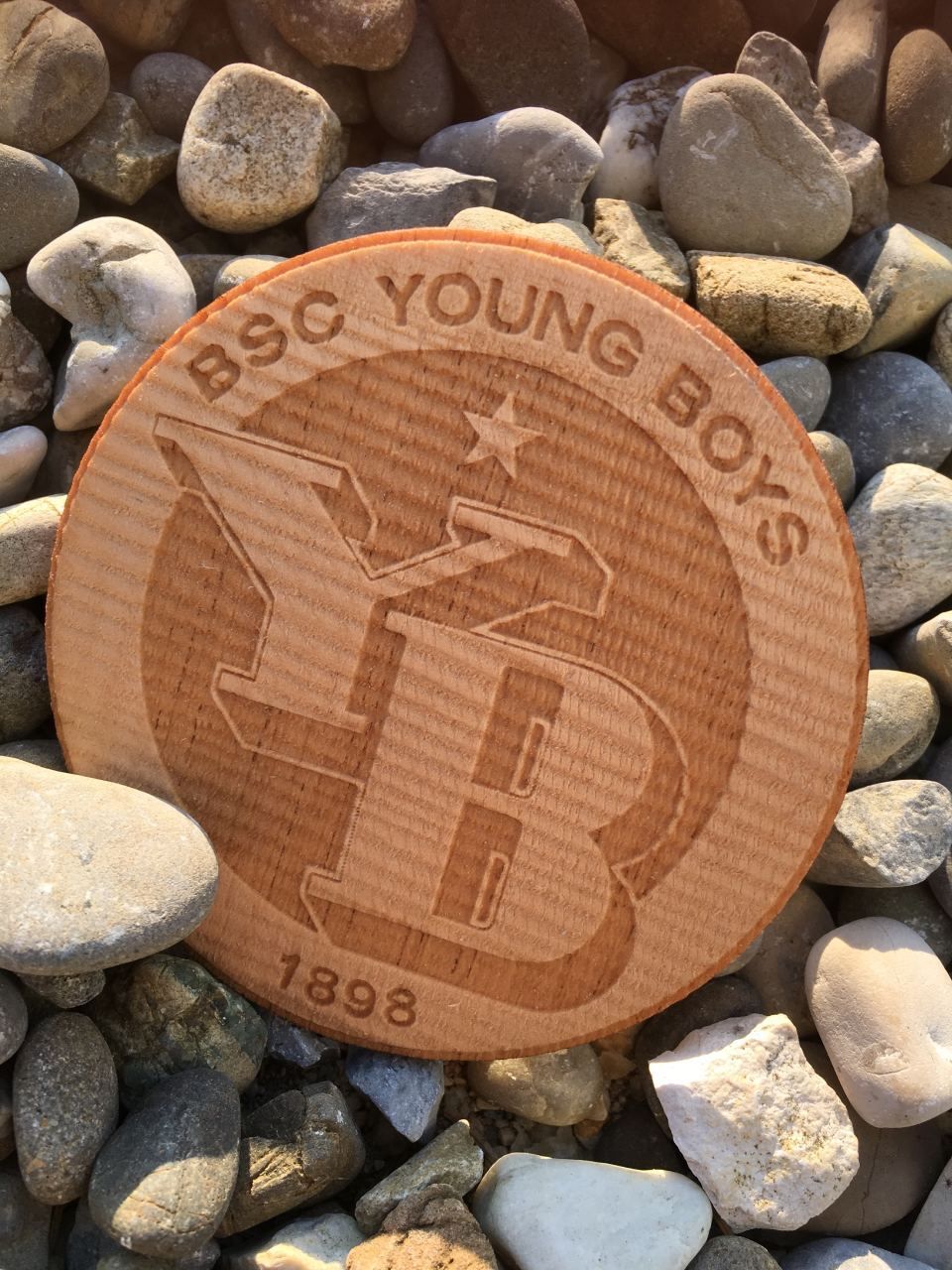 Holzwarenfabrik Müller AG - Logo BBC Young Boys