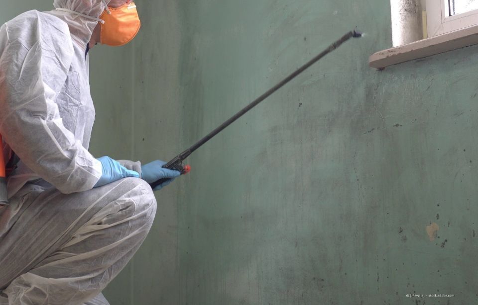 Person im Schutzanzug besprüht eine grüne Wand in der Nähe eines Fensters.