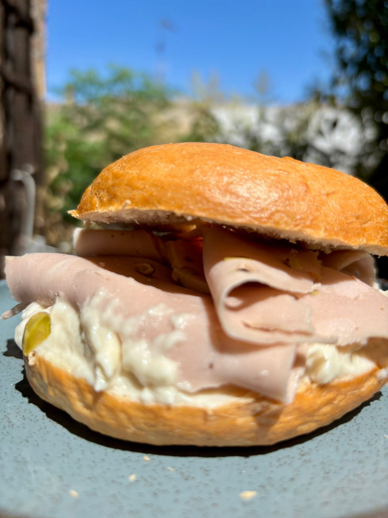 Sándwich en plato azul, con pavo, salsa blanca y pepinillos, al aire libre.