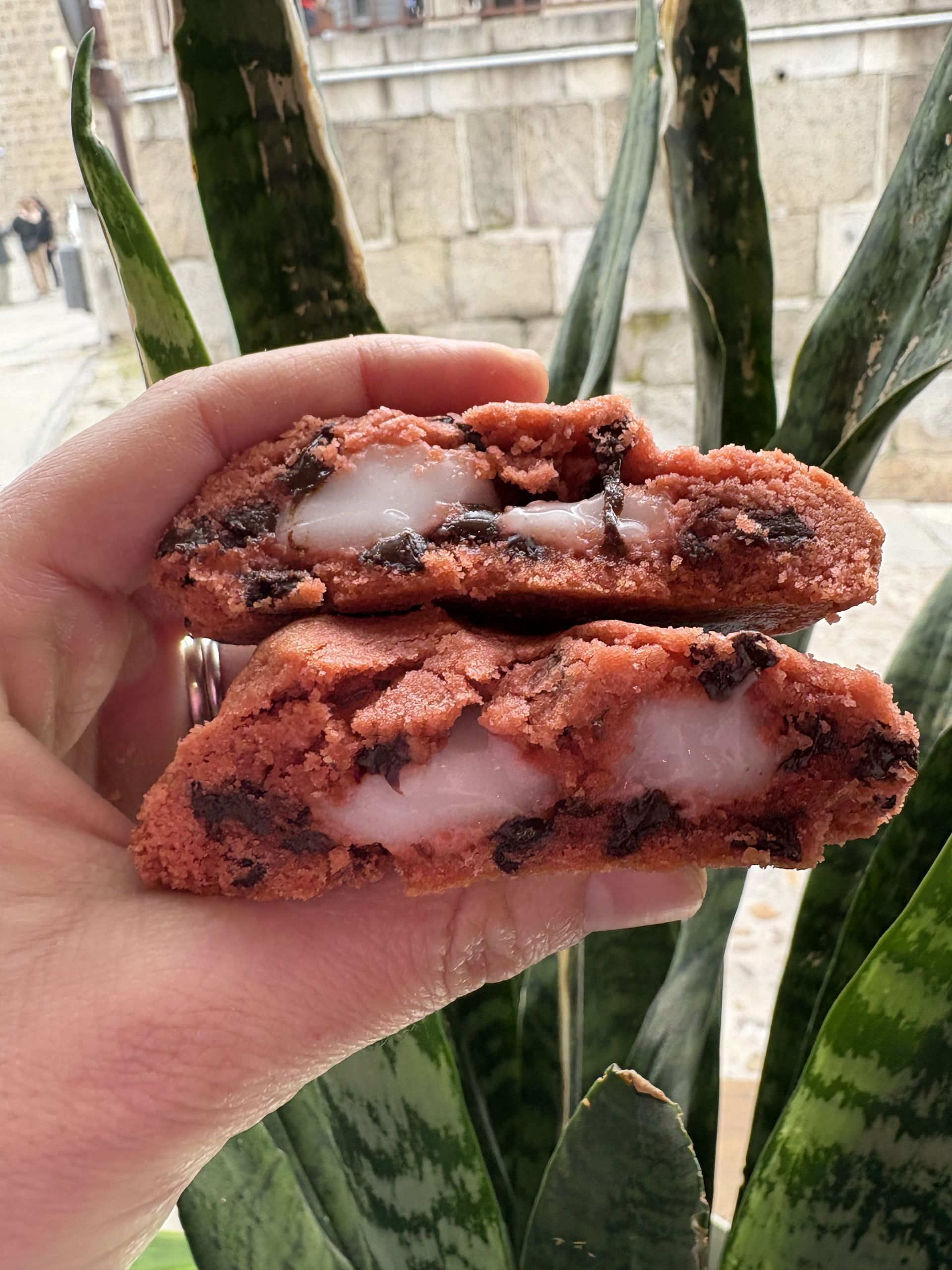 Persona sosteniendo dos mitades 