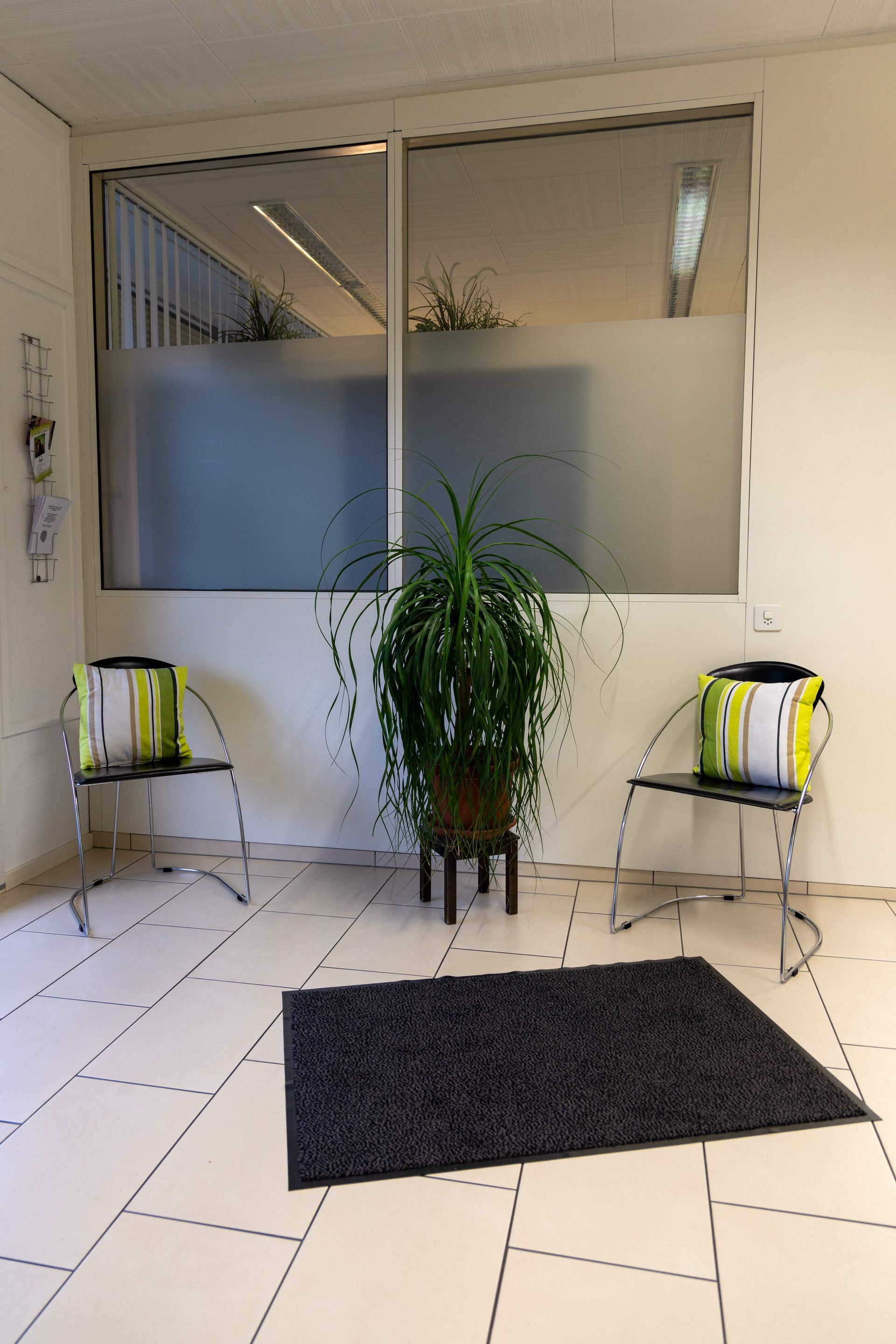 Medizinische Trainingstherapie