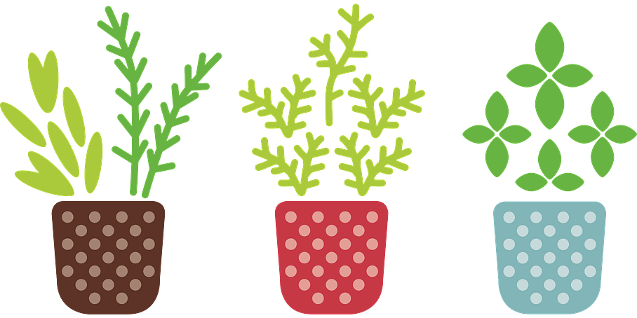 Service de fleuriste et de vente de plantes vertes à Sainte-Maxime