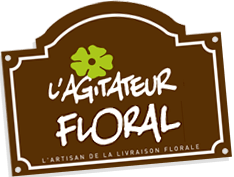 Service de livraison par l'agitateur florale à Sainte-Maxime