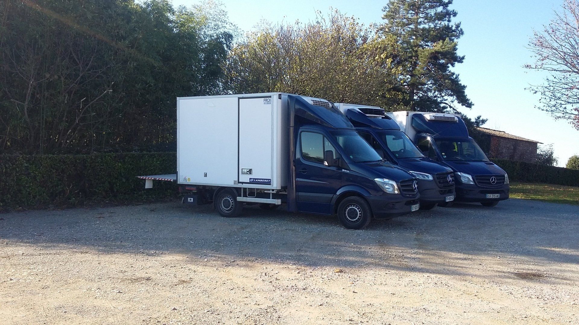Sprinter
