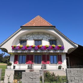 Malerei Roger Vuille GmbH - Meikirch