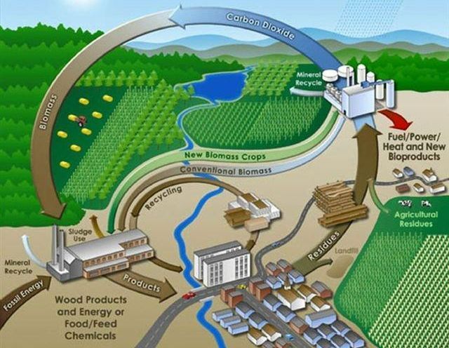 Schéma explicatif de la biomasse
