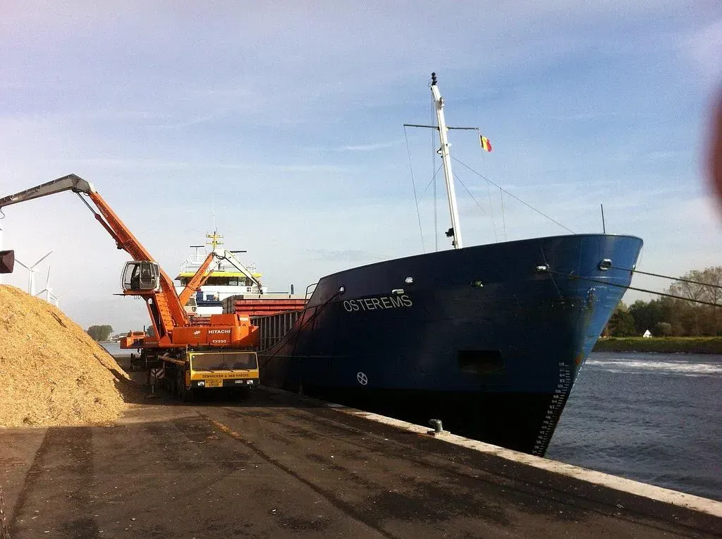 Collecte de déchets de bois par bateau par Geldof