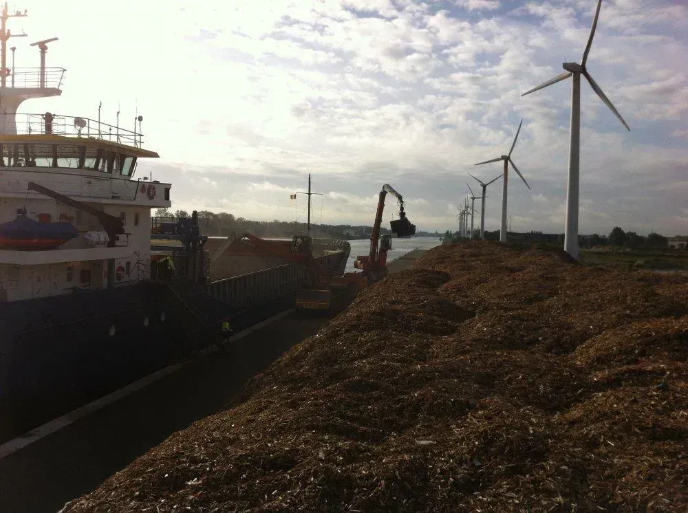 Quai de chargement de copeaux de bois pour du transport par bateau