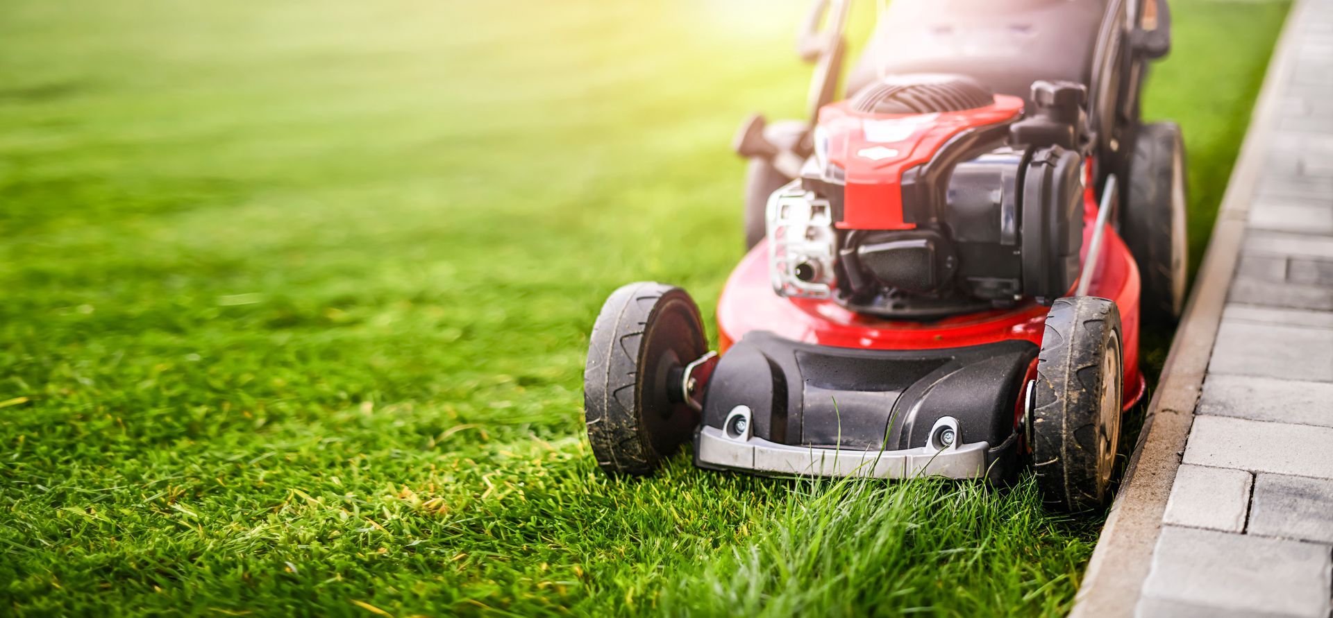 Une tondeuse rouge coupe l’herbe verte à côté d’un chemin de pierre dans un jardin ensoleillé