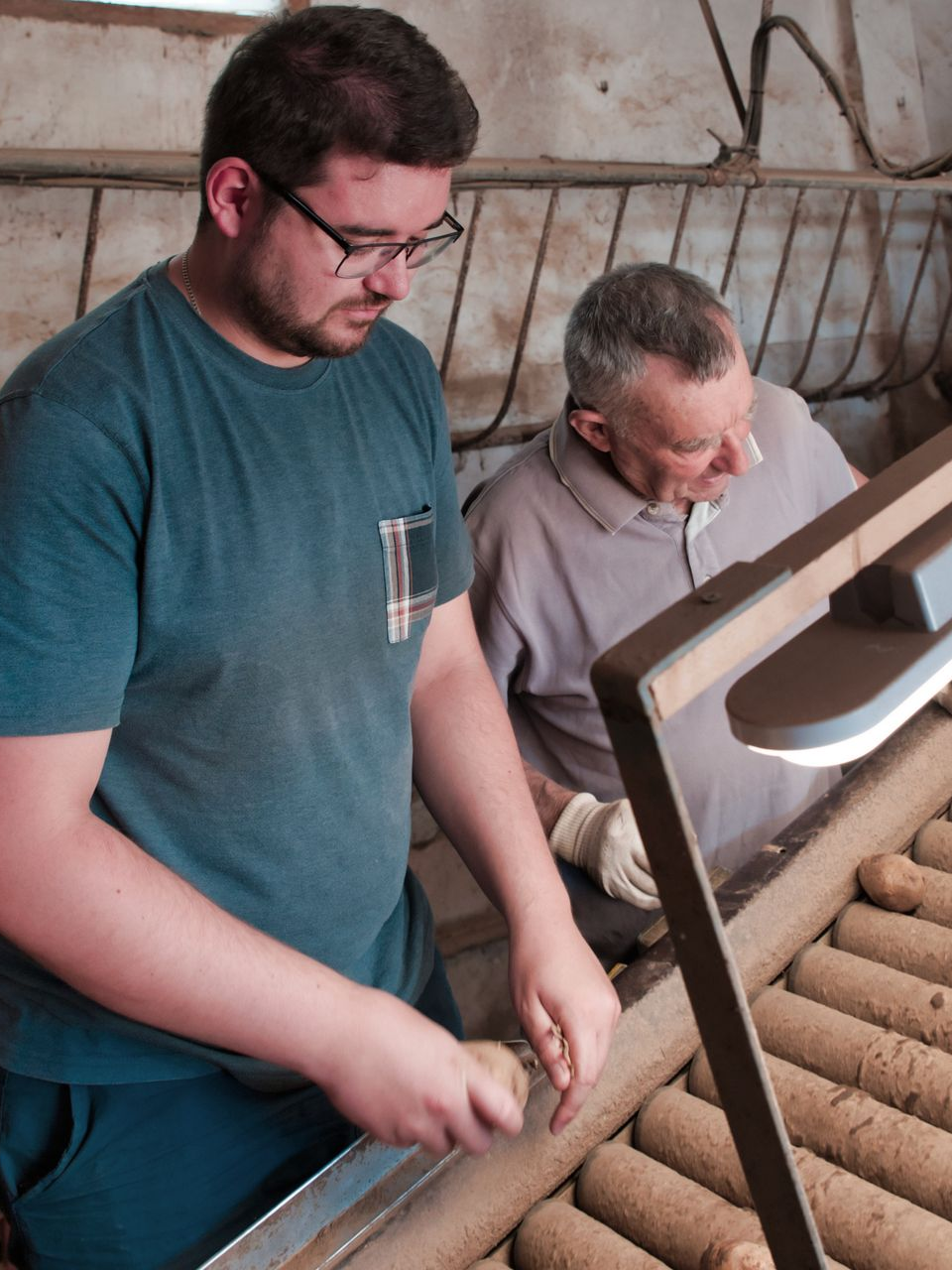 Machine à trier les pommes de terre.