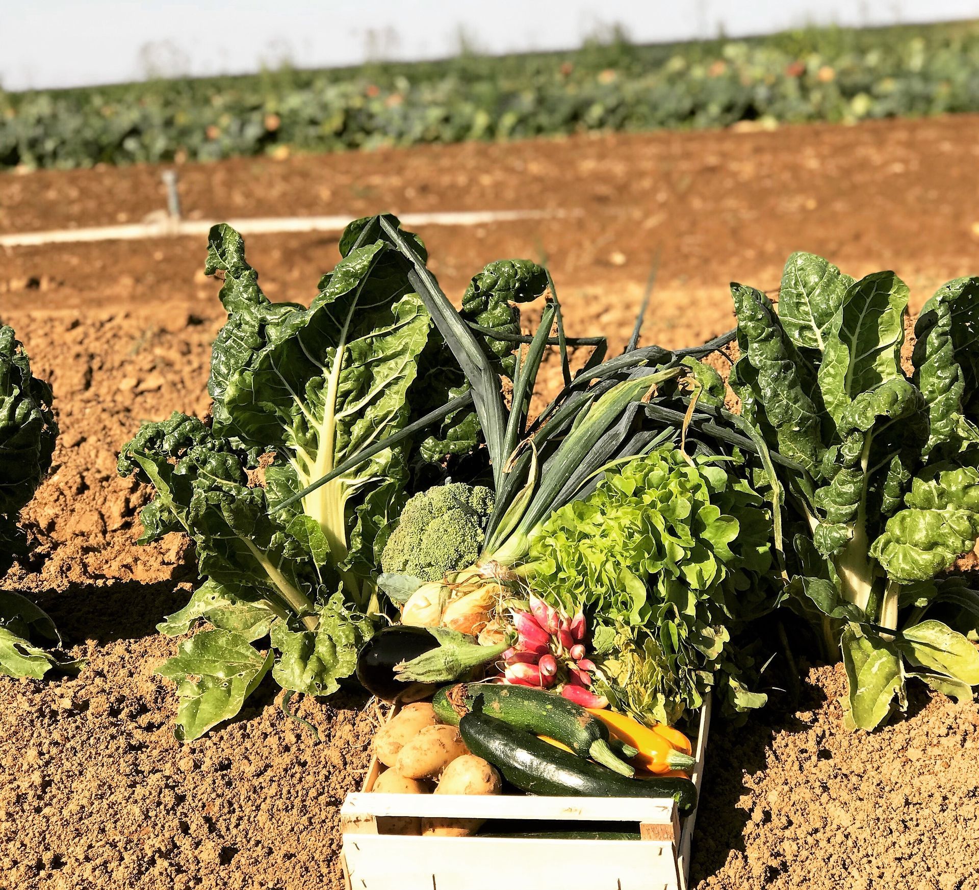 Vers la page Produits fermiers.