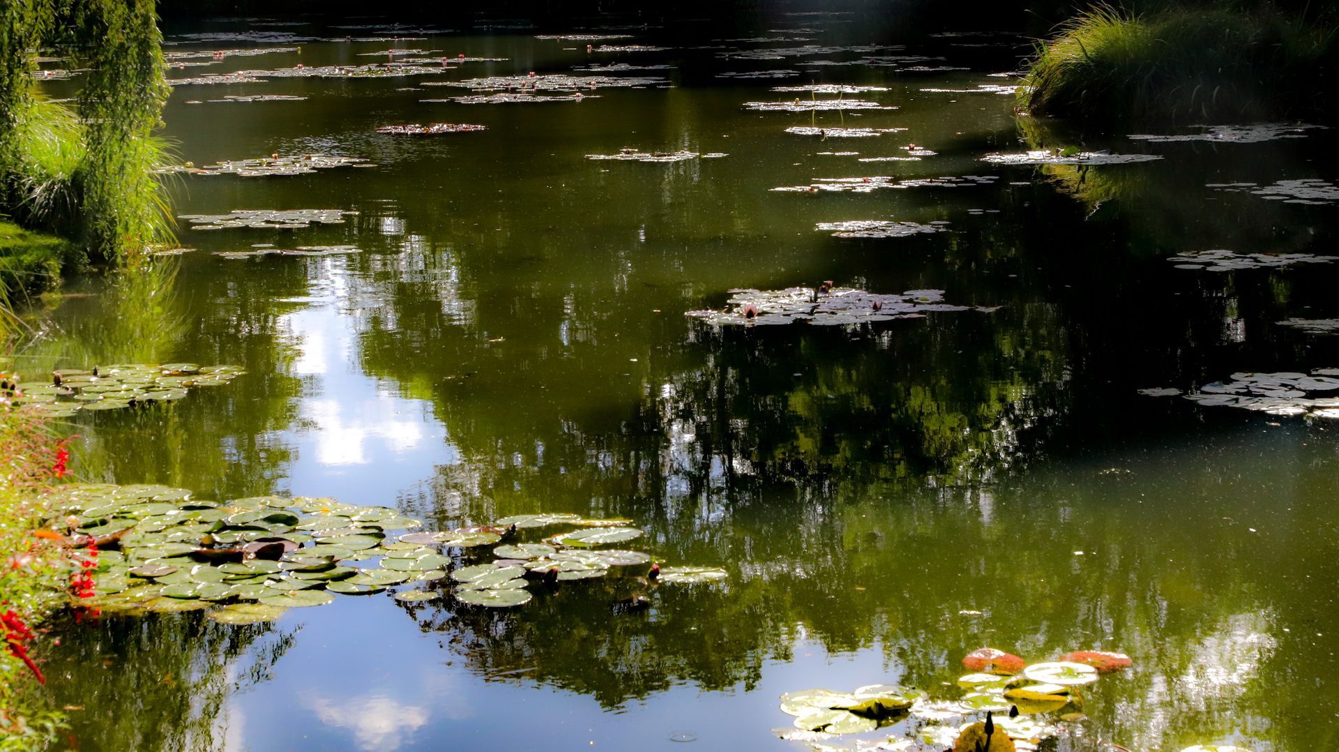 Vers la page Producteur fermier à Cherisy.