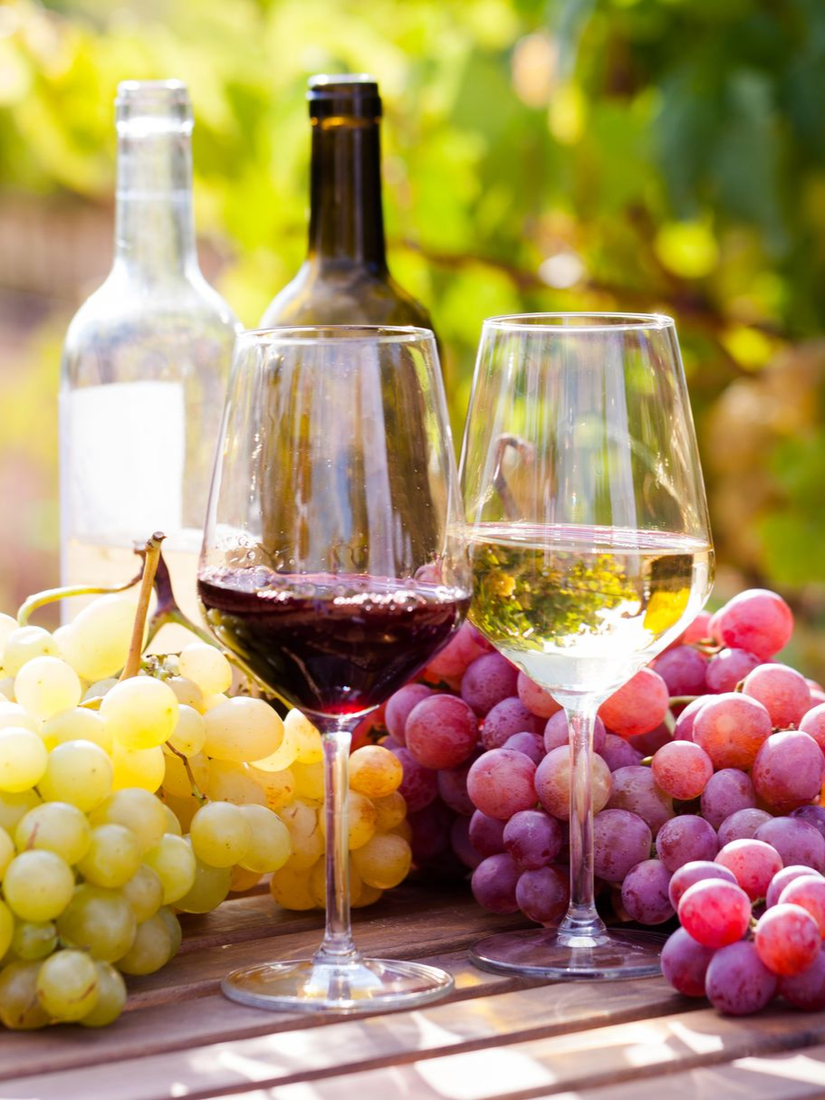 Verres de vin rouge et blanc posés sur une table dans les rangs de vigne.