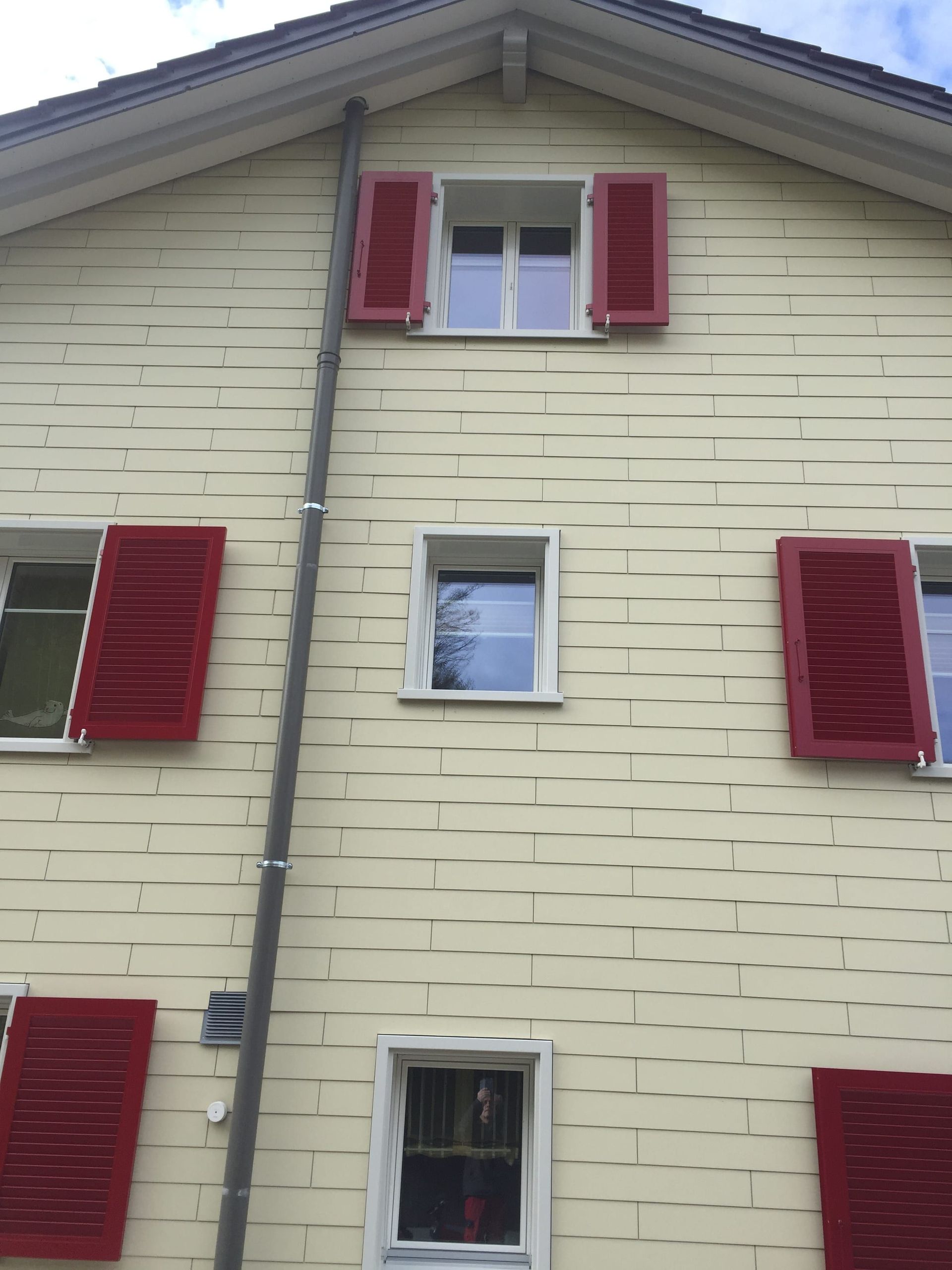 Fassadenverkleidung - Peter Brunner