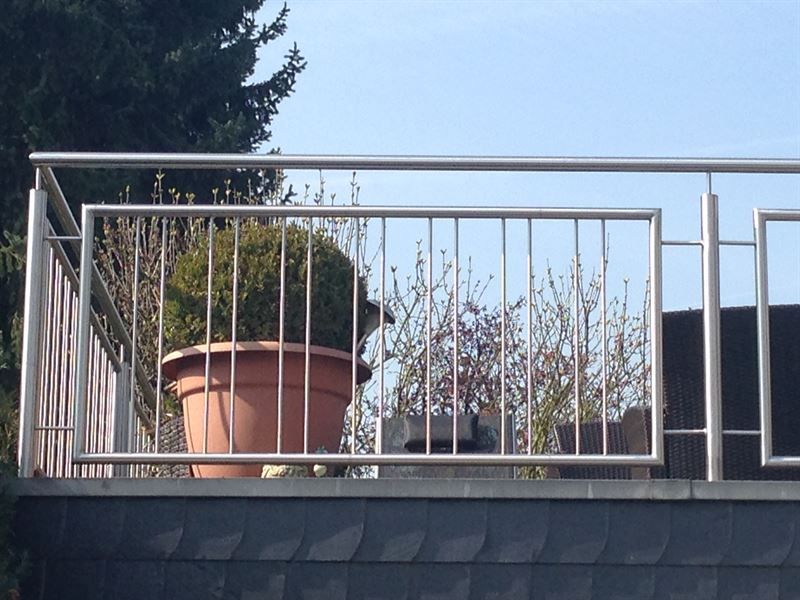 Ein Balkon mit Edelstahlgeländer und Topfpflanzen