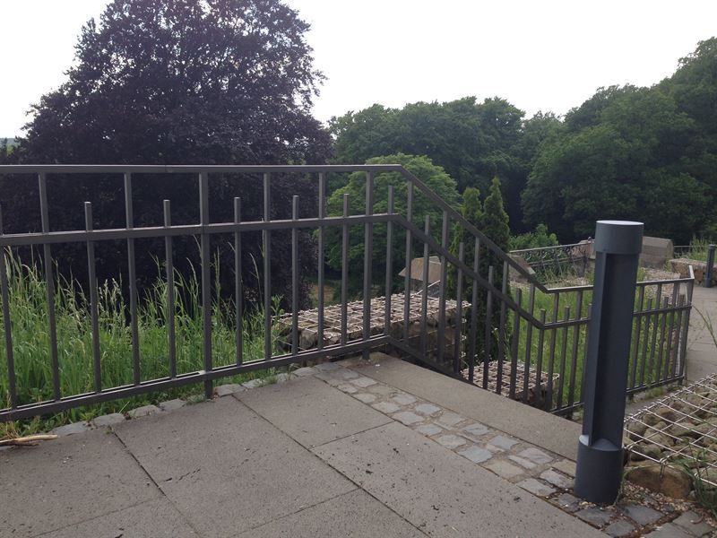 Ein Zaun mit einem lila Baum im Hintergrund