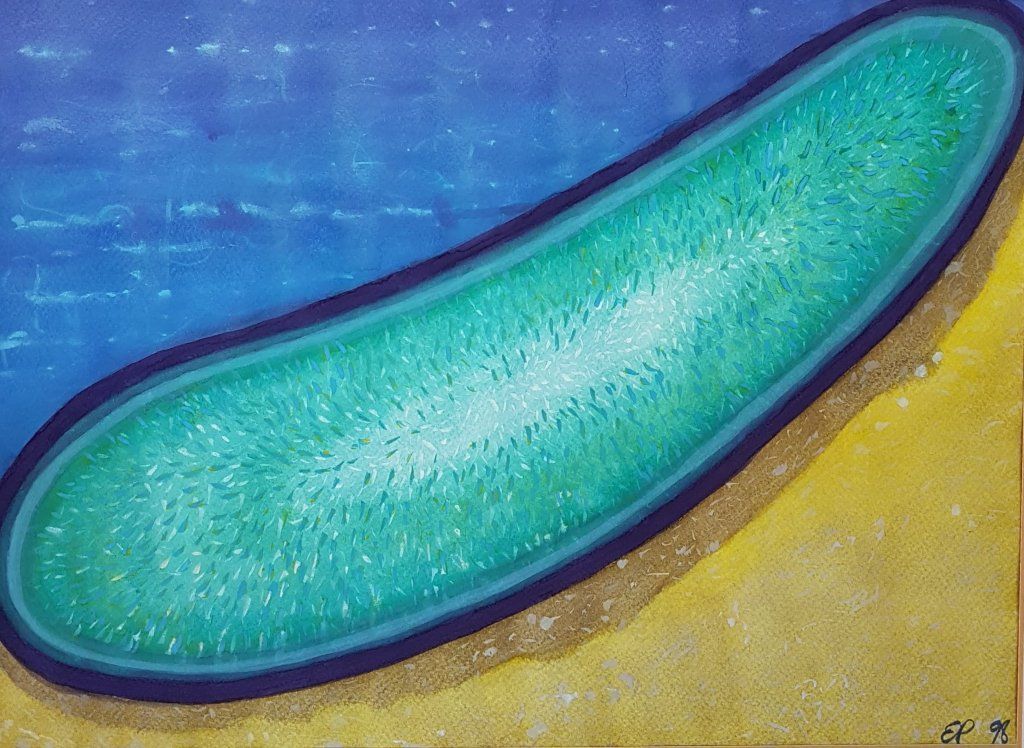 Art-Eva