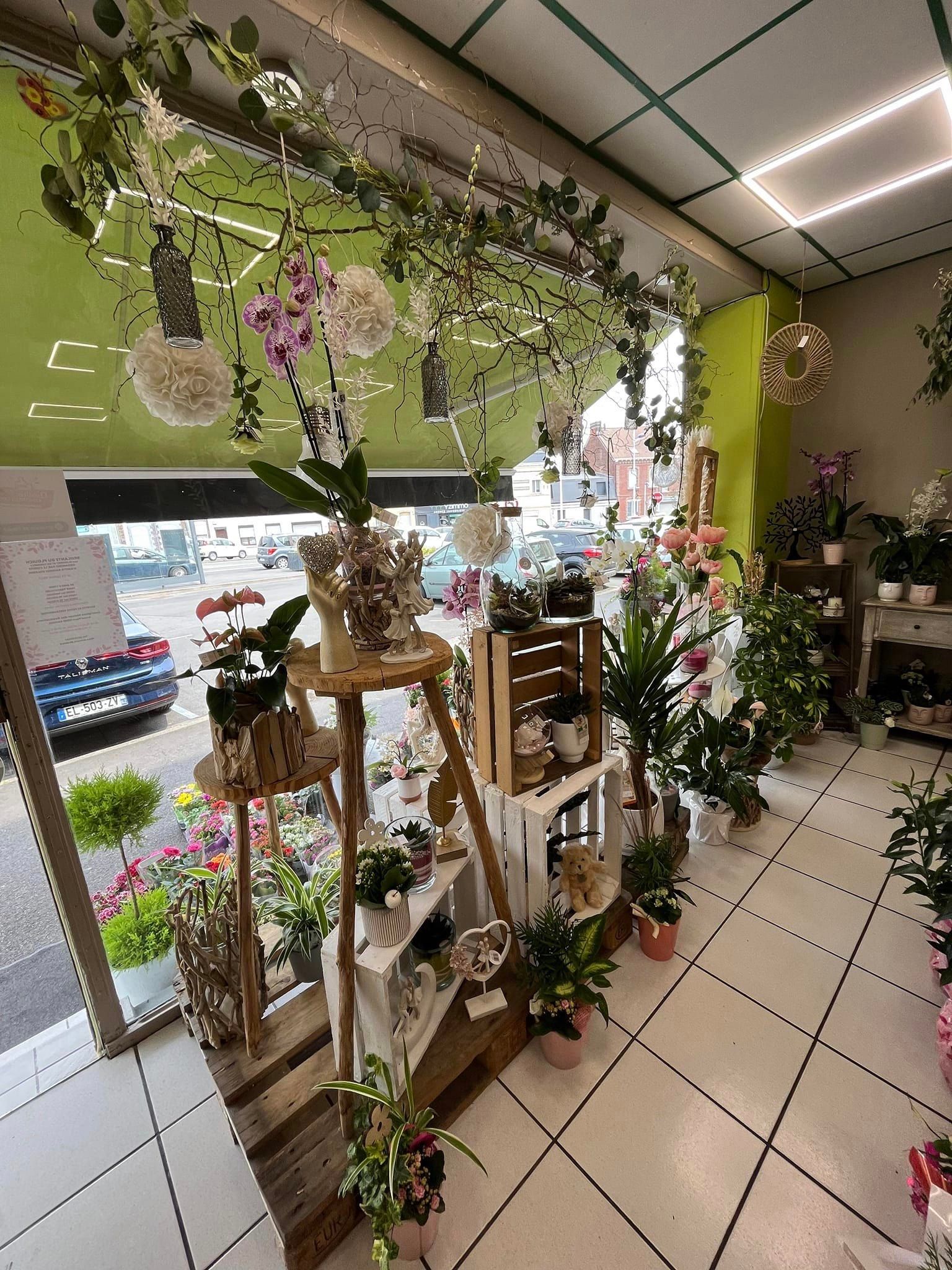 Exposition de plantes