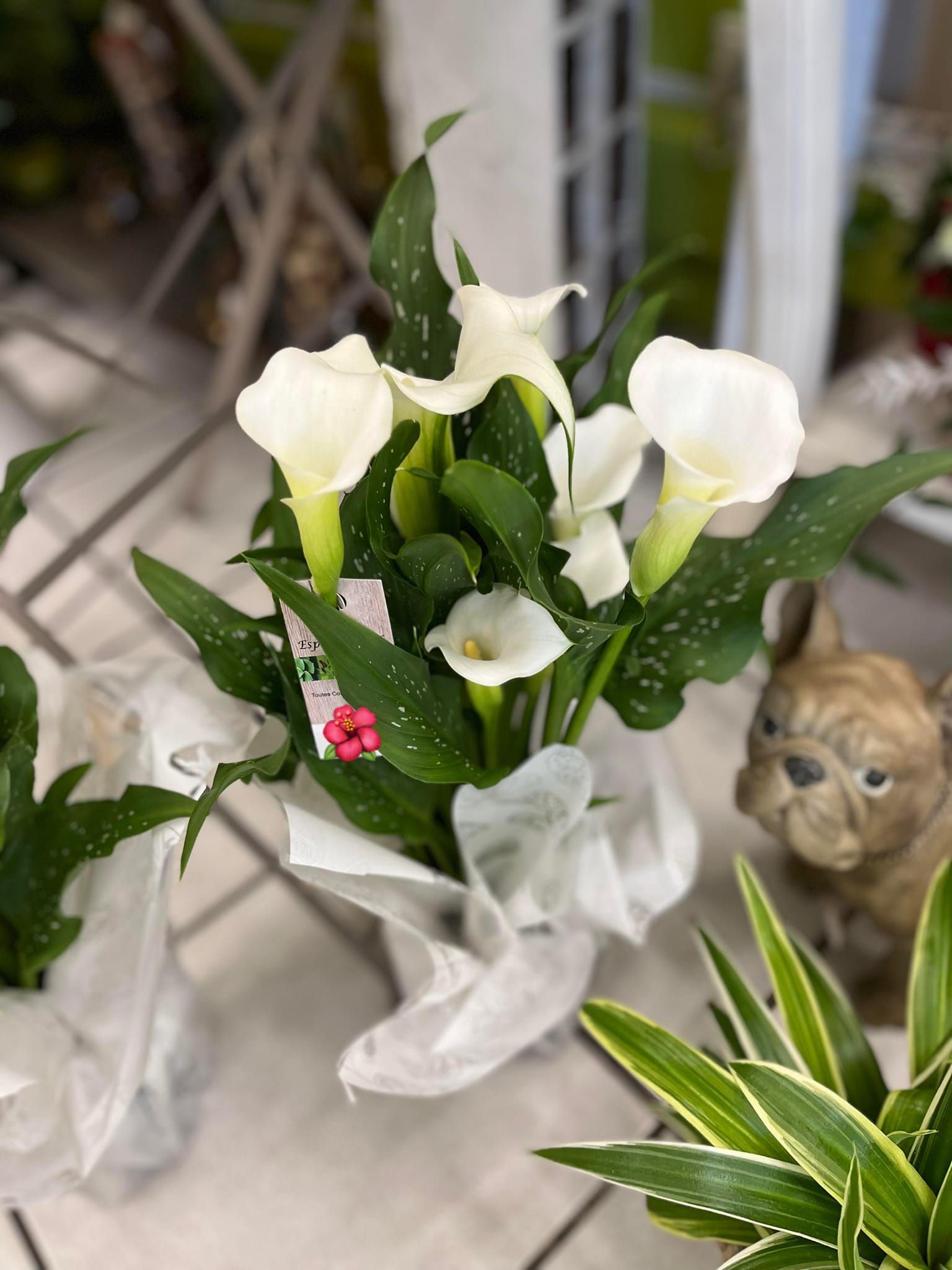 Décoration centre de table