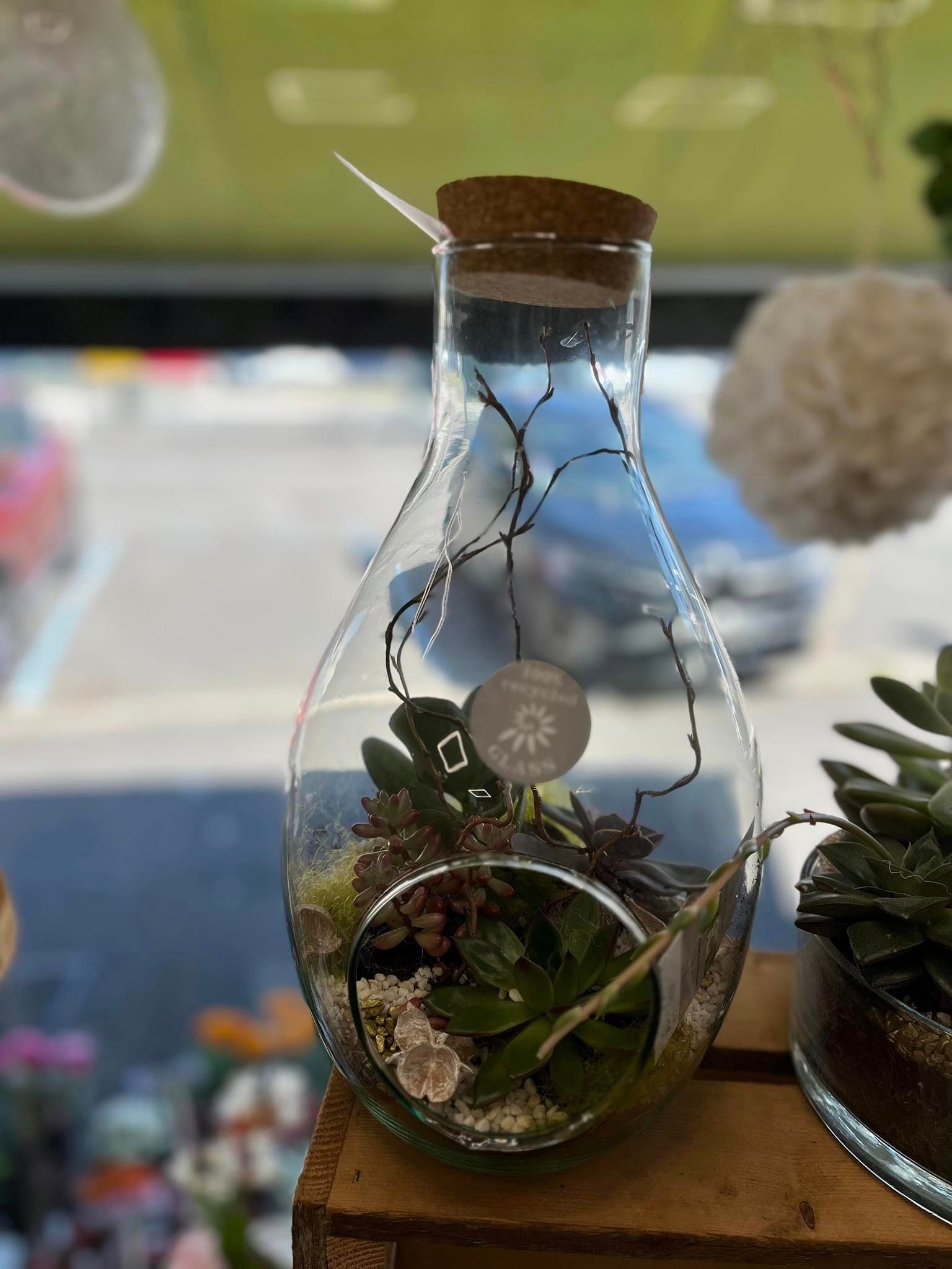 Terrarium