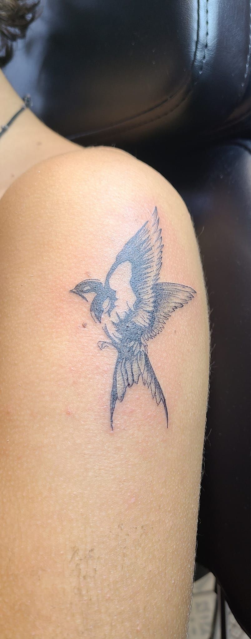 Tatouage avec un oiseau sur haut du bras