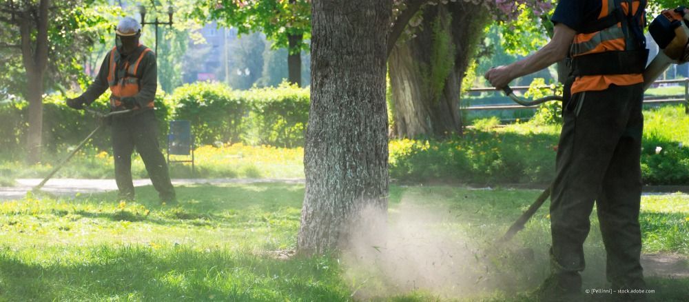 Mitarbeiter der Prell Dienstleistungen GmbH schneidet Baum