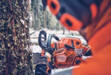 Schneider Motorgeräte - Ein grüner Rasenmäher und ein Trimmer liegen im Gras