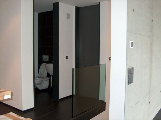 Regli Maler GmbH – dunkel gestrichene Toilette