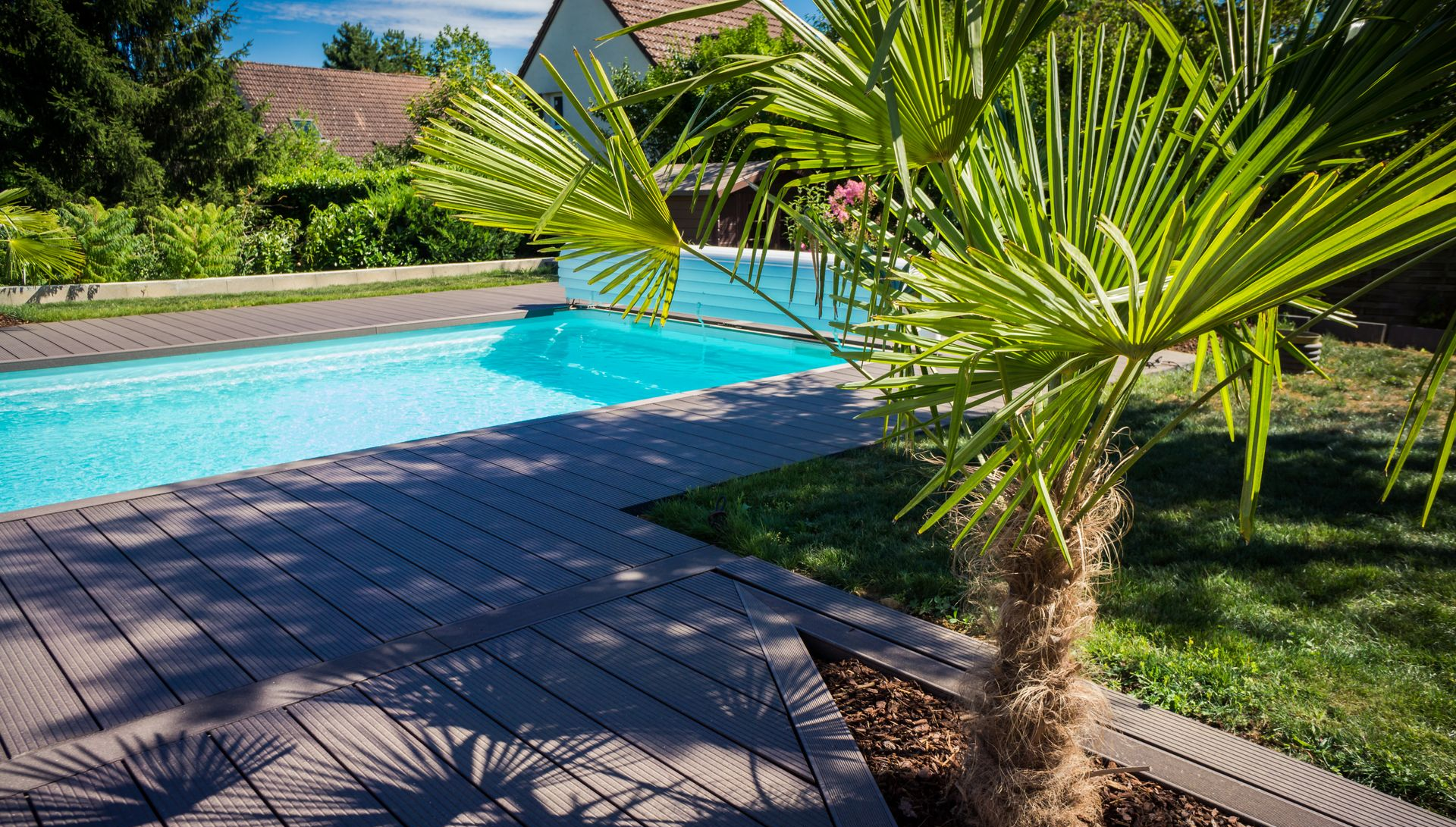 Vue sur la piscine avec palmier, eau bleue, terrasse grise et cour herbeuse.