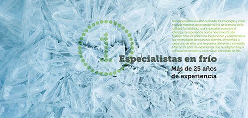 Un primer plano de una superficie congelada con las palabras especialistas en frío escritas en ella.