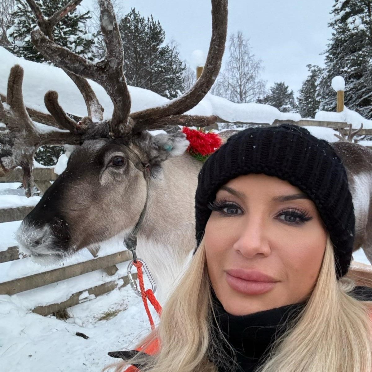 Reindeer sleigh ride in Lapland