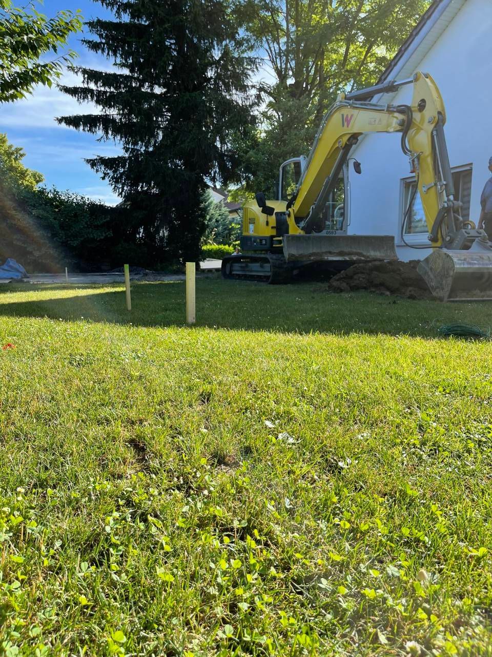 Ein gelber Bagger parkt im hellen Sonnenlicht auf einer Rasenfläche neben Bäumen.