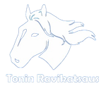 ToninRavikatsaus