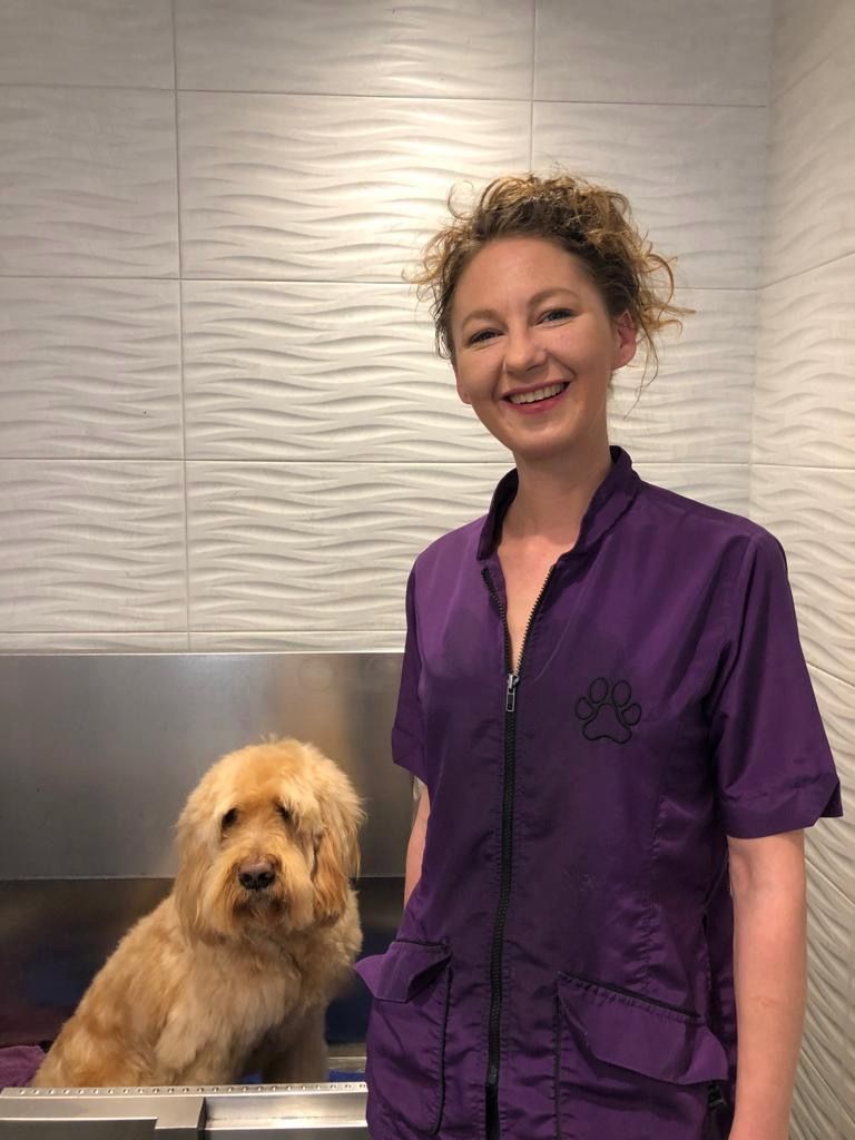 Hundesalon Coiffeur - Sibylle Polla - Zürich