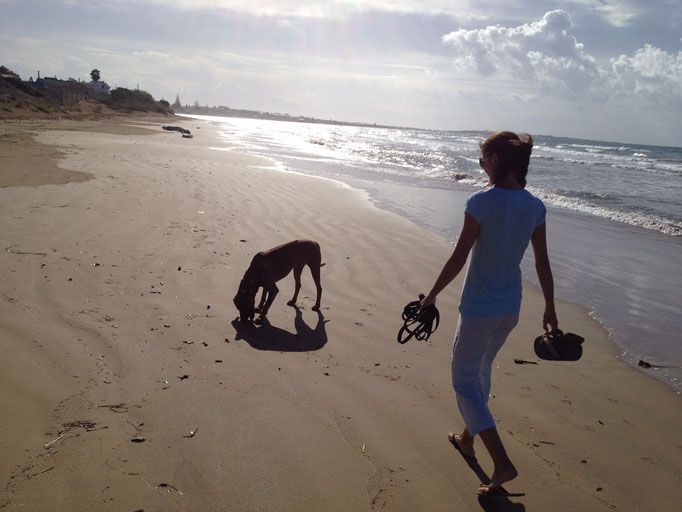 Hundepflege Salon Fein-Gemacht