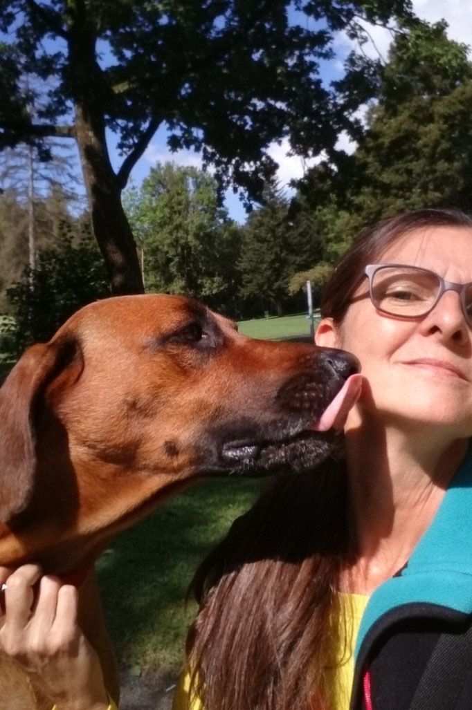 Hundepflege Salon Fein-Gemacht