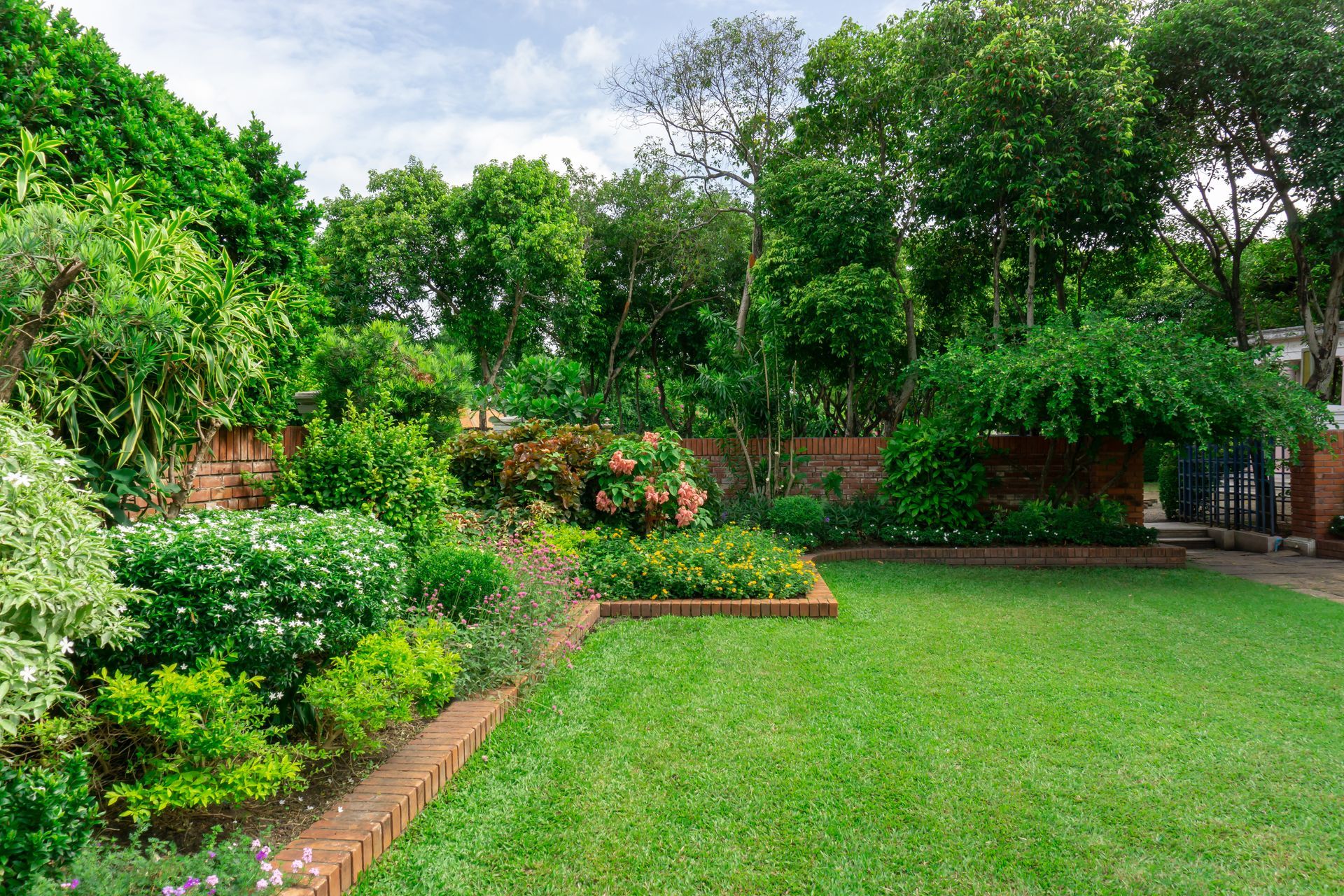 Un jardin avec une pelouse tondue
