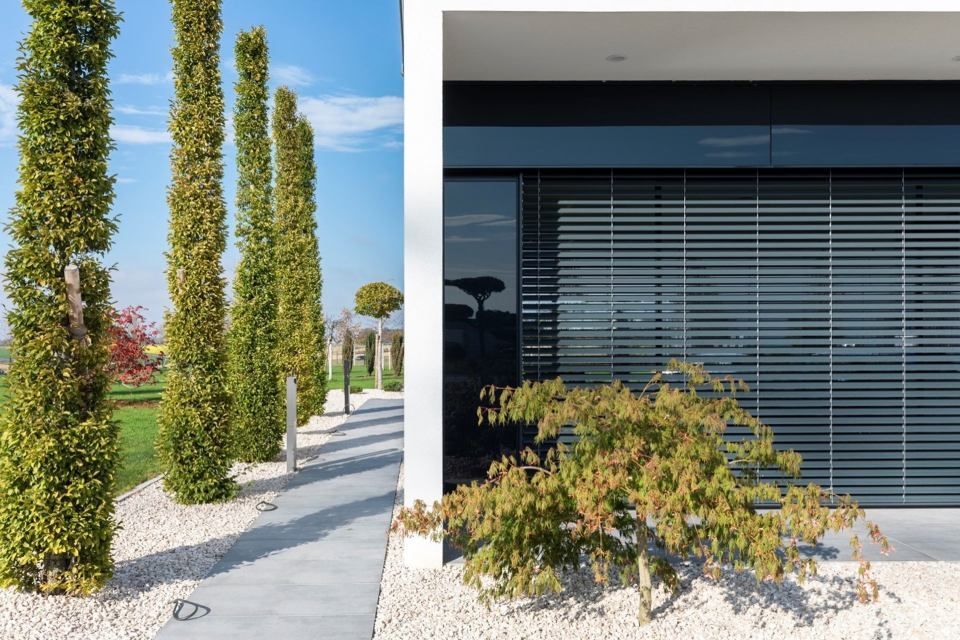Eine Reihe hoher grüner Bäume und ein kleiner Busch neben einem modernen Gebäude mit grauen Jalousien und weissem Kies.