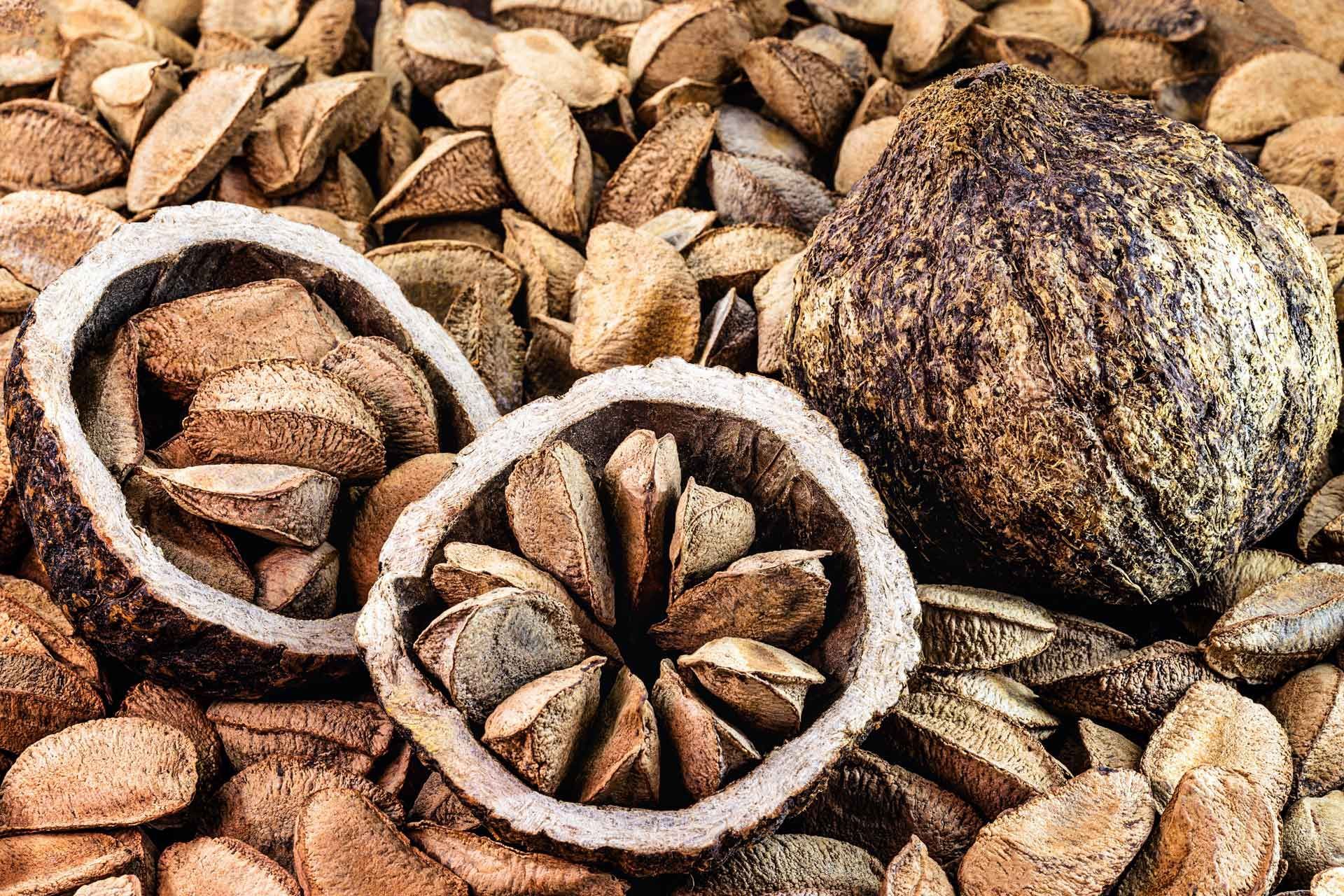Un montón de nueces, incluyendo una nuez grande en el medio.