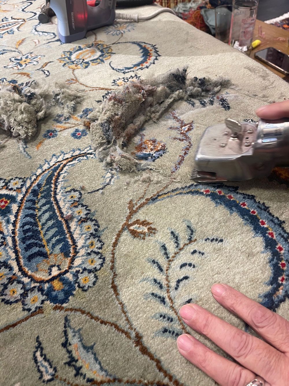 Eine Person reinigt einen Teppich mit einem Staubsauger.