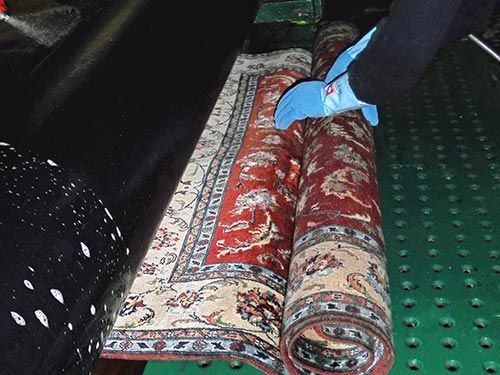 Eine Person reinigt einen Teppich mit blauen Handschuhen