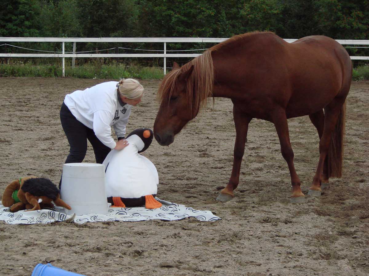Keiju - Merja Torniainen