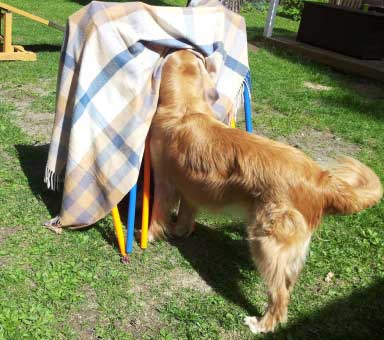 Peikko - Merja Torniainen