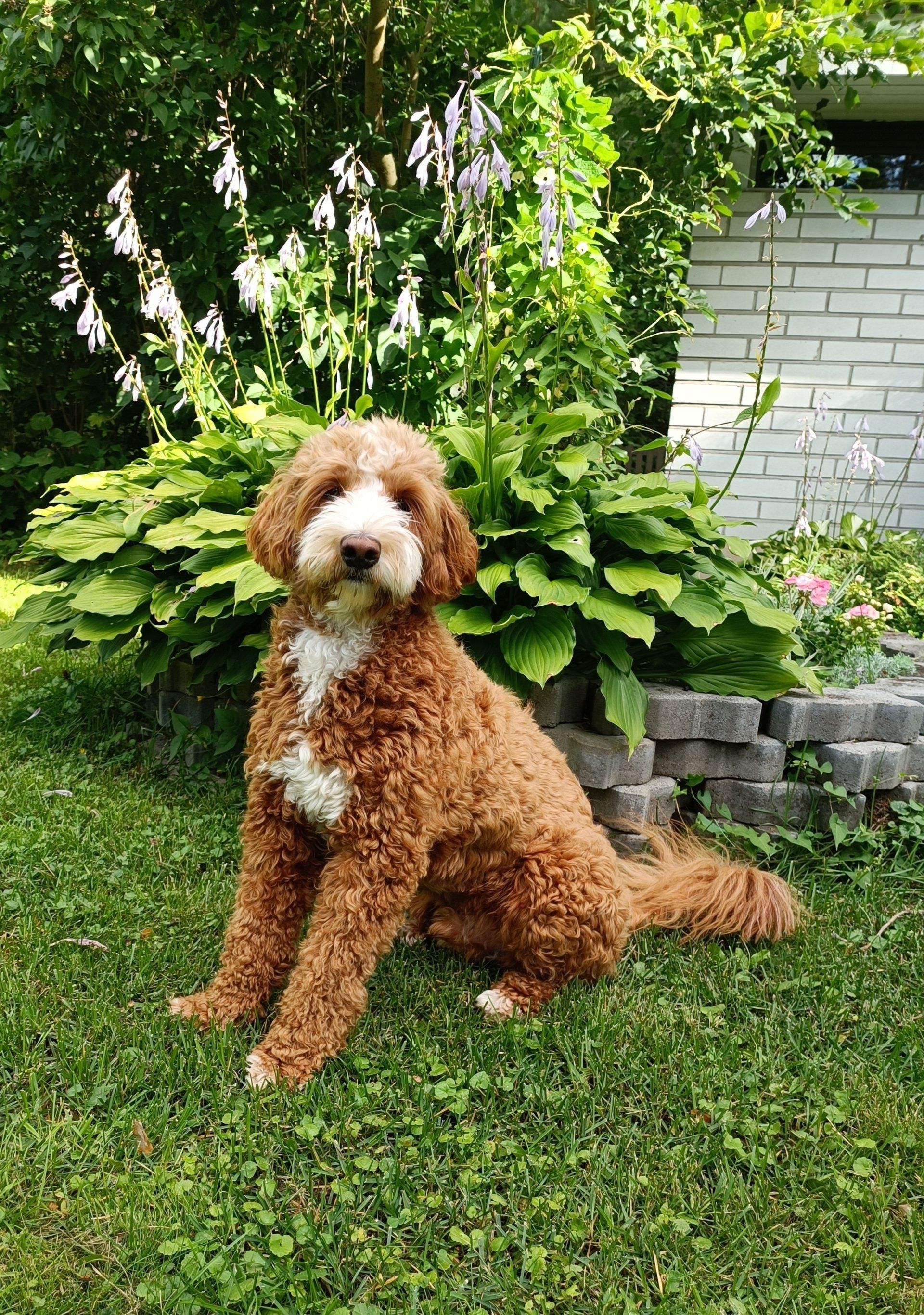 Välkky - Merja Torniainen