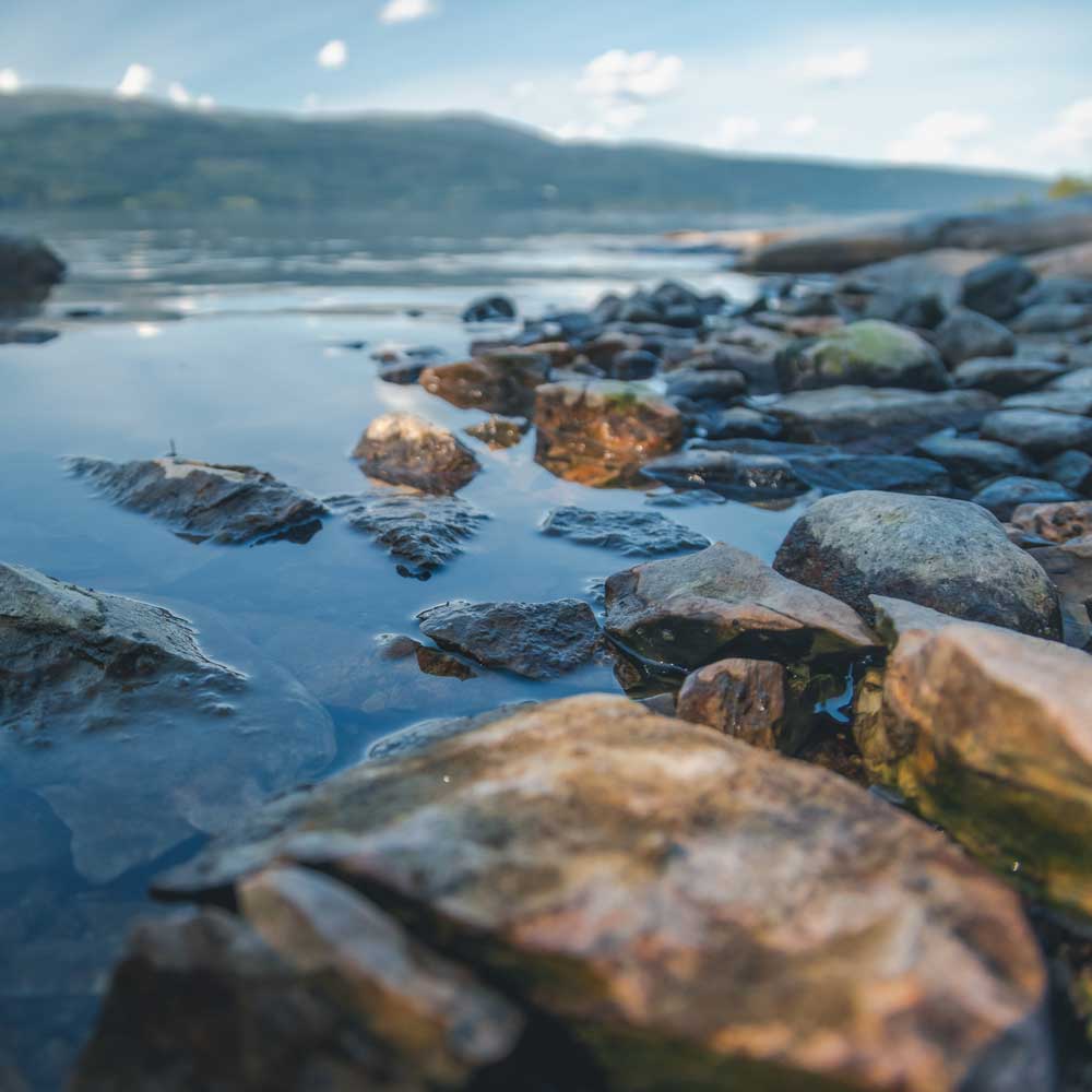 Ohjaukset - Merja Torniainen