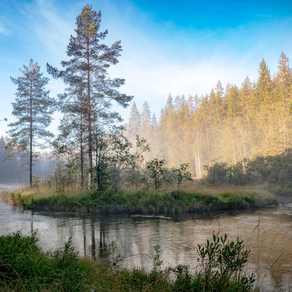 Psykoterapia - Merja Torniainen
