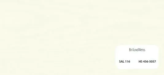 Rectángulo blanco con el nombre