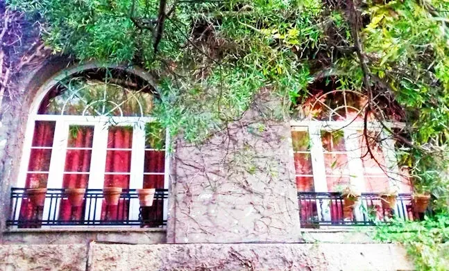 Dos ventanas arqueadas con marcos blancos y cortinas rojas están cubiertas de vegetación. La fachada del edificio es de piedra clara.
