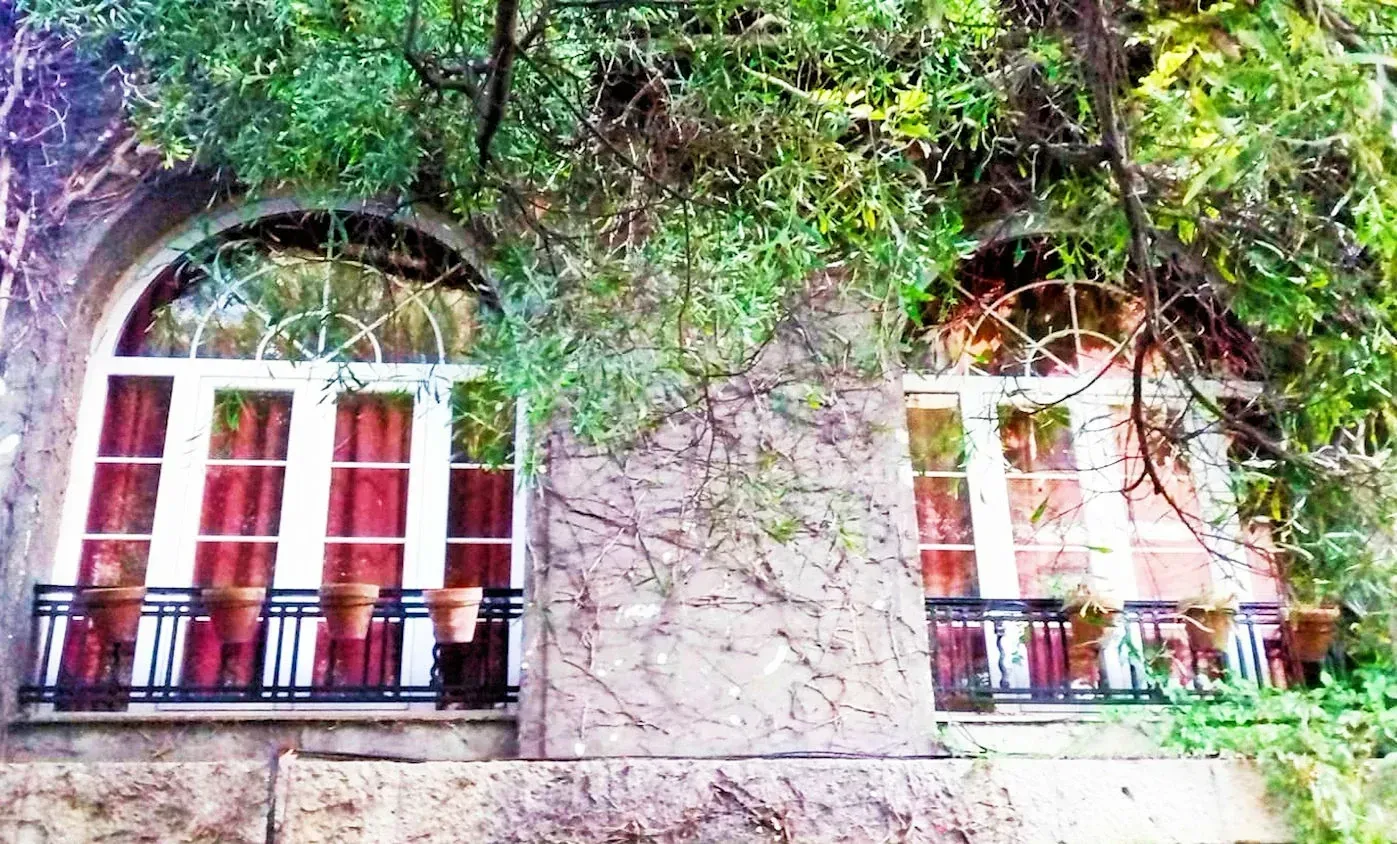 Dos ventanas arqueadas con marcos blancos y cortinas rojas, cada una con un pequeño balcón. Enredaderas verdes cubren parcialmente la fachada.